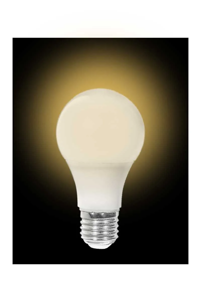 ACK AA13-01220 12W E27 3000K Günışığı Led A60 Ampul görsel 2