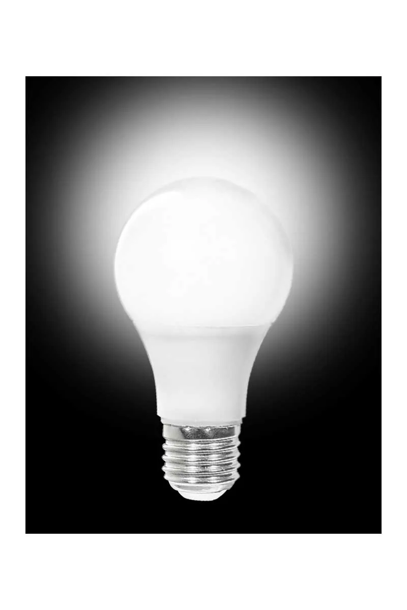ACK AA13-01223 12W E27 6500K Beyaz Led A60 Ampul görsel 4