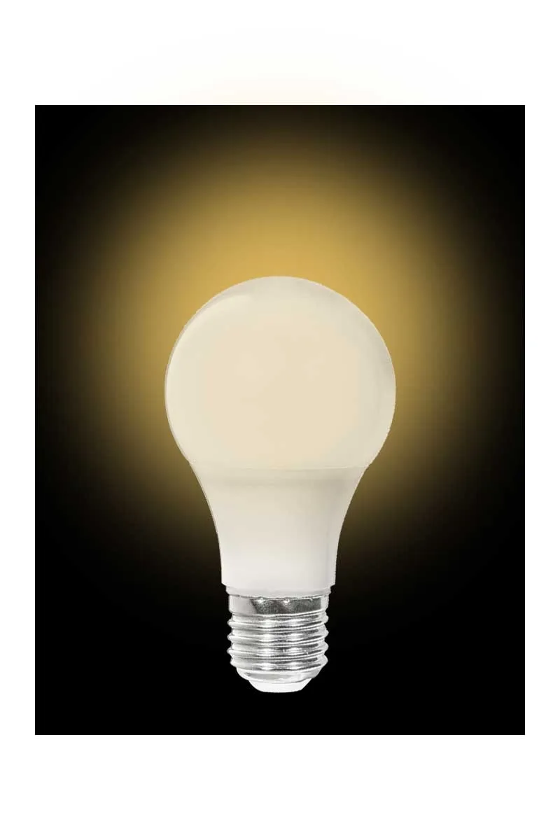 ACK AA13-01520 15W E27 3000K Günışığı Led A70 Ampul görsel 3