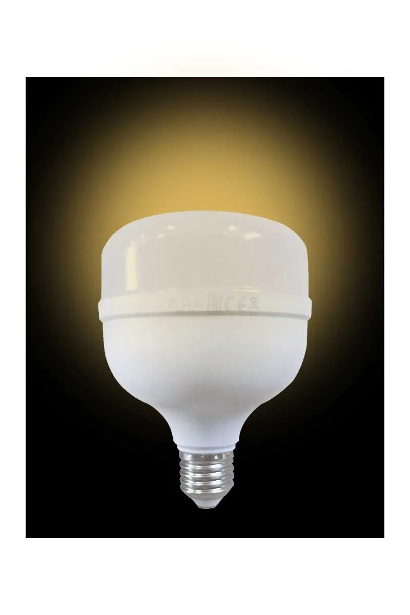 ACK AA13-02020 20W E27 3000K Günışığı Led T80 Ampul görsel 4