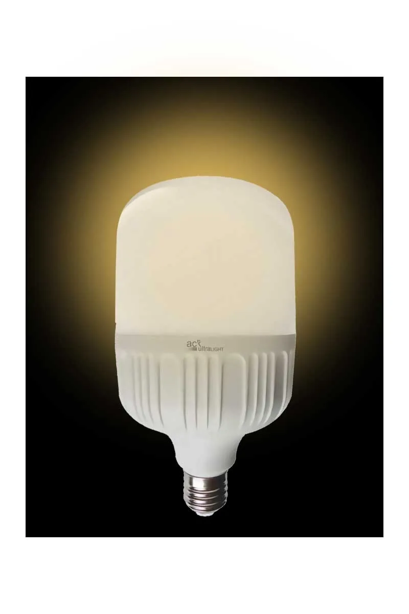 ACK AA13-03020 30W E27 3000K Günışığı Led T100 Ampul görsel 2