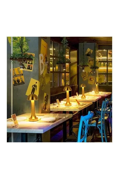 ACK 2W Gold Gövde Ledli Dokunmatik Dimli Masa Lambası AF11-00296 görsel 4