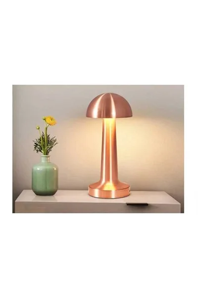 ACK 2W Copper Gövde Ledli Dokunmatik Dimli Masa Lambası AF11-00297 görsel 2