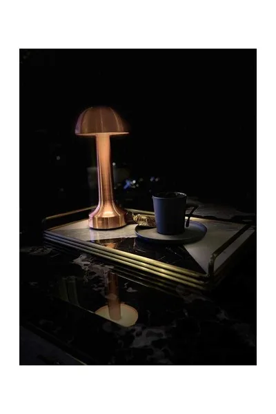ACK 2W Copper Gövde Ledli Dokunmatik Dimli Masa Lambası AF11-00297 görsel 3
