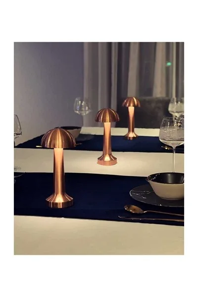 ACK 2W Copper Gövde Ledli Dokunmatik Dimli Masa Lambası AF11-00297 görsel 4