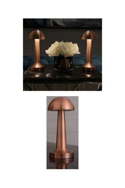 ACK 2W Copper Gövde Ledli Dokunmatik Dimli Masa Lambası AF11-00297 görsel 5