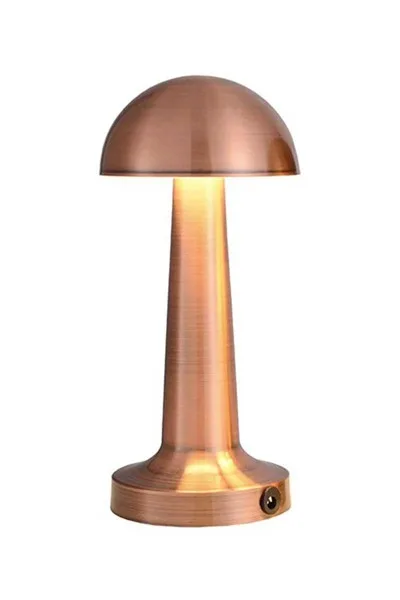 ACK 2W Copper Gövde Ledli Dokunmatik Dimli Masa Lambası AF11-00297