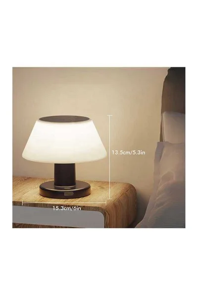 Ack Ag60-30801 153mmx135mm 3000k Sıyah Govde Cıft Yonlu Solar Led Bahce Armaturu görsel 5