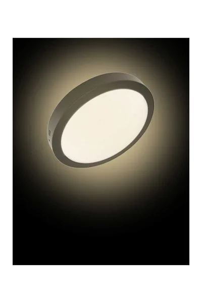 ACK 18W Siyah 4000K Sıva Üstü Yuvarlak Led Panel AP03-01811 görsel 2