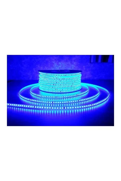 ACK 3535 120 Led/Metre Mavi 220V Şerit Led Ip65 10Mmx5Mm AS01-01506 görsel 2