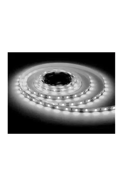 ACK 2835 6500K 12V Şerit Led 240 Led/Metre AS01-02803