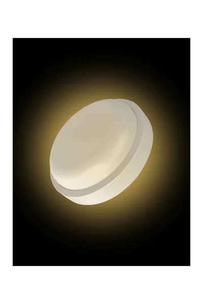 ACK AT10-01200 12W 3000K Günışığı Led Duvar ve Tavan Armatürü görsel 2
