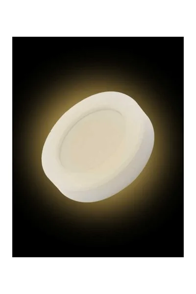 ACK AT10-11500 15W 3000K Günışığı Led Duvar ve Tavan Armatürü görsel 2