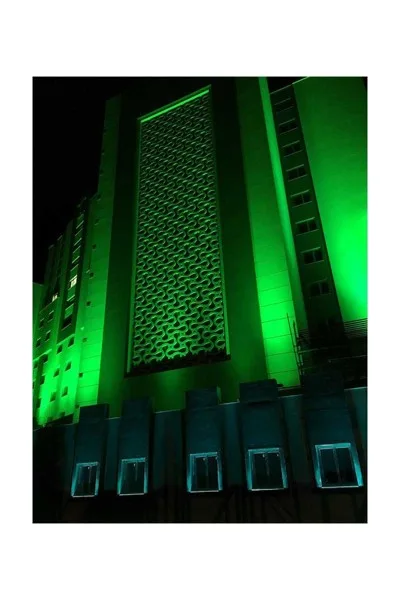 ACK 9X1W Yesıl Ip65 27Cm Led Wallwasher AT20-00953 görsel 2
