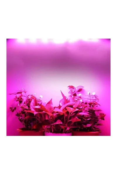 Ack 36W Mor Led Bitki Yetistirme Armatürü görsel 2