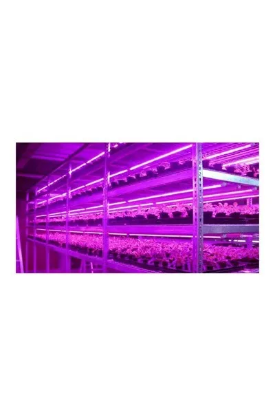 Ack 36W Mor Led Bitki Yetistirme Armatürü görsel 4