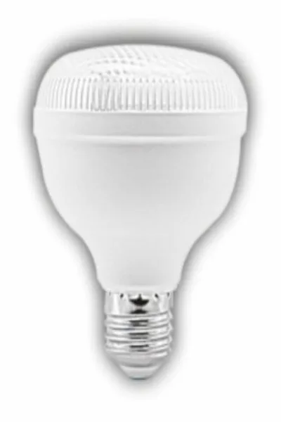 25W KRİSTAL TORCH LED AMPUL