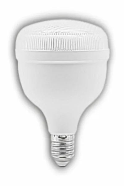 25W KRİSTAL TORCH LED AMPUL görsel 2