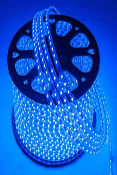 220V DIŞ MEKAN ŞERİT LED (MAVİ) görsel 2