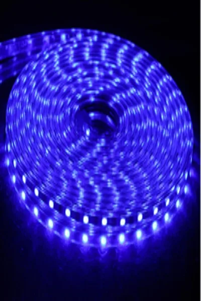 220V DIŞ MEKAN ŞERİT LED (MAVİ)