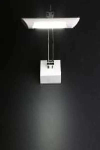 CATA CT-5205 Flamingo Ledli Duvar Apliği 4W 6400K Beyaz Işık