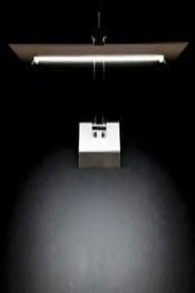 Cata CT-5206 6W 6400K Beyaz Flamingo Ledli Tablo Apliği